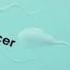Causes Of Low Sperm Count