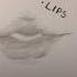 Lips Hip Neck Miran E