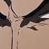 Name One Piece Luffy Lucci Onepiece