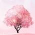 Cherry Blossom Road