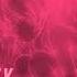 Sewerslvt Pretty Cvnt Slowed