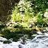Jasper Forks River Flows In You Akidaraz Bootleg Hardstyle