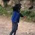 Spider Man New Movie Caught On Google Earth Shorts Spiderman