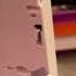 My Barney VHS DVD Collection 2025 Edition