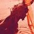 Victoria Kohana Feat Runstar Desert Rose Sting Сover