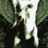 Sarpanitum Despoilment Of Origin 2007 Full Album