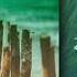 Alex H Lumidelic Never Too Late Skua S Aggregated Remix Synth Collective