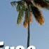 Tropic Fuse French Fuse 1 Hour Version