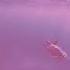 Where Is My Mind Slowed Reverb Piano Version
