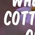 Where The Cottonwood Grows Lyrics Alan Jackson