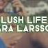 Lush Life Zara Larsson Edit Audio