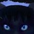 Dear Friend Across The River Warrior Cats OC PMV