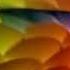 Samsung Logo History In G Major 172 INVERTED