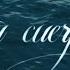 Joey Dany Tu Cuerpo Lyric Video