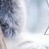 Alan Walker Beautiful Winter New Song 2020