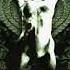 Sarpanitum Despoilment Of Origin Full Album