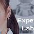 How To Make A Lab Website In HTML CSS And Javascript Source Code