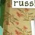 Take Me Home Country Roads Russian Cover