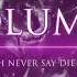 Never Say Die Vol 6 Mixed By SKisM Buen Mix 7w7r