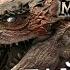 В чём суть Monster Hunter гайд для новичков