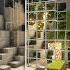 Best Texture Packs For Minecraft 1 21 5