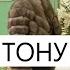 Зарема Ирзиханова Тону