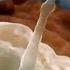 Sperm Attacked By Woman S Immune System Inside The Human Body BBC