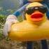 Sonic The Hedgehog 3 Team Sonic Race Exclusive Clip 2024 Movie