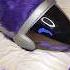 5 Answers About Protogen Fursuits Furries