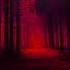 Bon Iver Roslyn Slowed Reverb 1 Hour Version