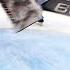 Frederik Andersen Makes Epic Stick Save On Pastrnak