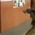 Krav Maga Global KMG Russia Military Krav Maga Training