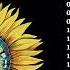 Pink Floyd Greatest Hits Pink Floyd Full Album Best Songs