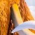 ICE AGE 4 CONTINENTAL DRIFT Clips 2012