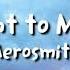 Aerosmith I Don T Want To Miss A Thing Lyrics