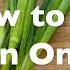 How To Cut Green Onions Scallions