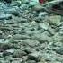 Natural Beauty Underwater Natural Beauty Underwater Shortvideo Shorts