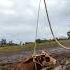 A COW Is Stuck In The Mud And Removing The Cow From The Helicopter Shortvideo Cow Animalrescue