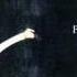 Foy Vance Burden Official Snippet