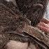 God Of War Story Trailer Release Date PS4