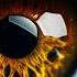 Melodic Eye Radio Show Apste APR 24 MELODIC TECHNO INDIE DANCE