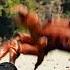 Hardest Drops In History Ch 4 Noisestorm Crab Rave