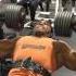 2016 Chest Day