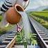 The Pigeon Plants A Mango Tree On The Track And Eats Lots Of Mangoes Ai Mango Pigeon