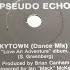 Pseudo Echo Funkytown Dance Mix 12