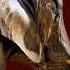 Spiritual Warriors Of Gods Kingdom On Earth Paulwhitegoldeagle Hindudeity Ascension