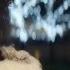 Little Mix Secret Love Song Pt II Music Video