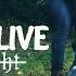 Our Last Night BURIED ALIVE Official Video