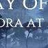 Avatar Ambience Music The Way Of Water Pandora At Night Relax Sleep Study Focus Peace