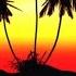Tropical Vibes Mix